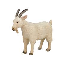 Imagem do produto 1