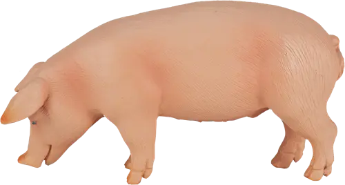 Imagem do produto 1