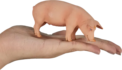 Imagem do produto 2