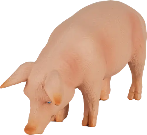 Imagem do produto 3